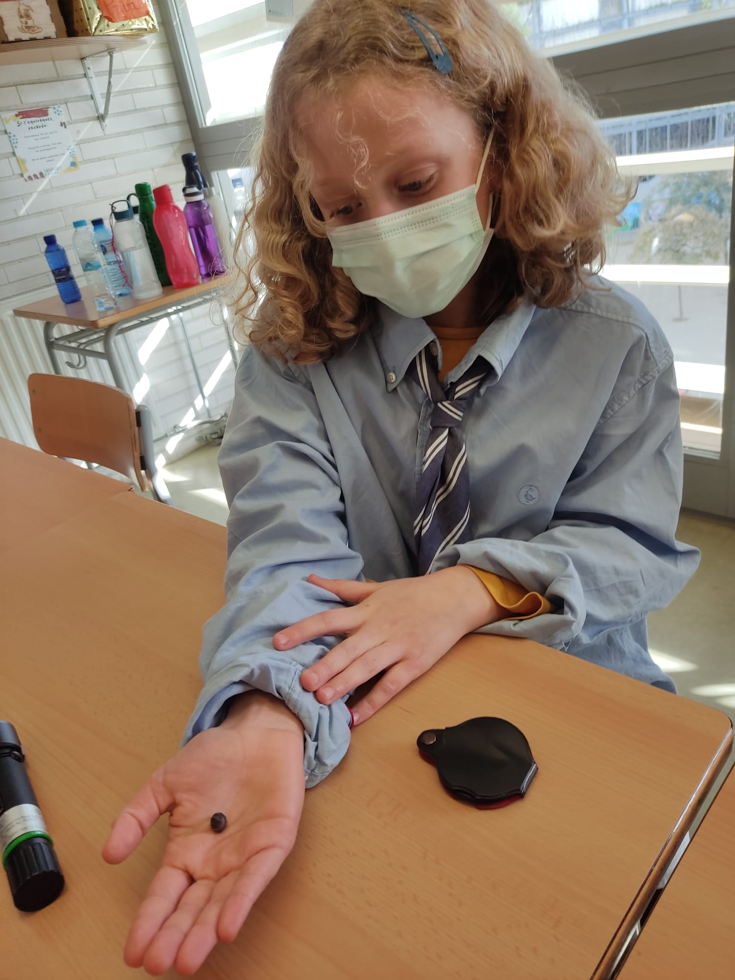 cf8a02d7-637c-4a22-a3d2-ac24d7b925f7