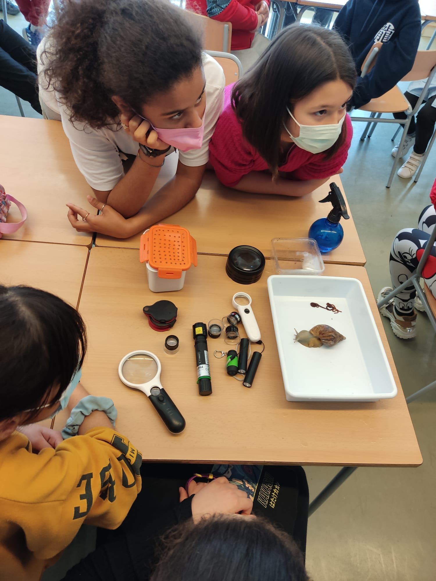 d23e2a58-d124-42ae-bf20-5293e02a5820