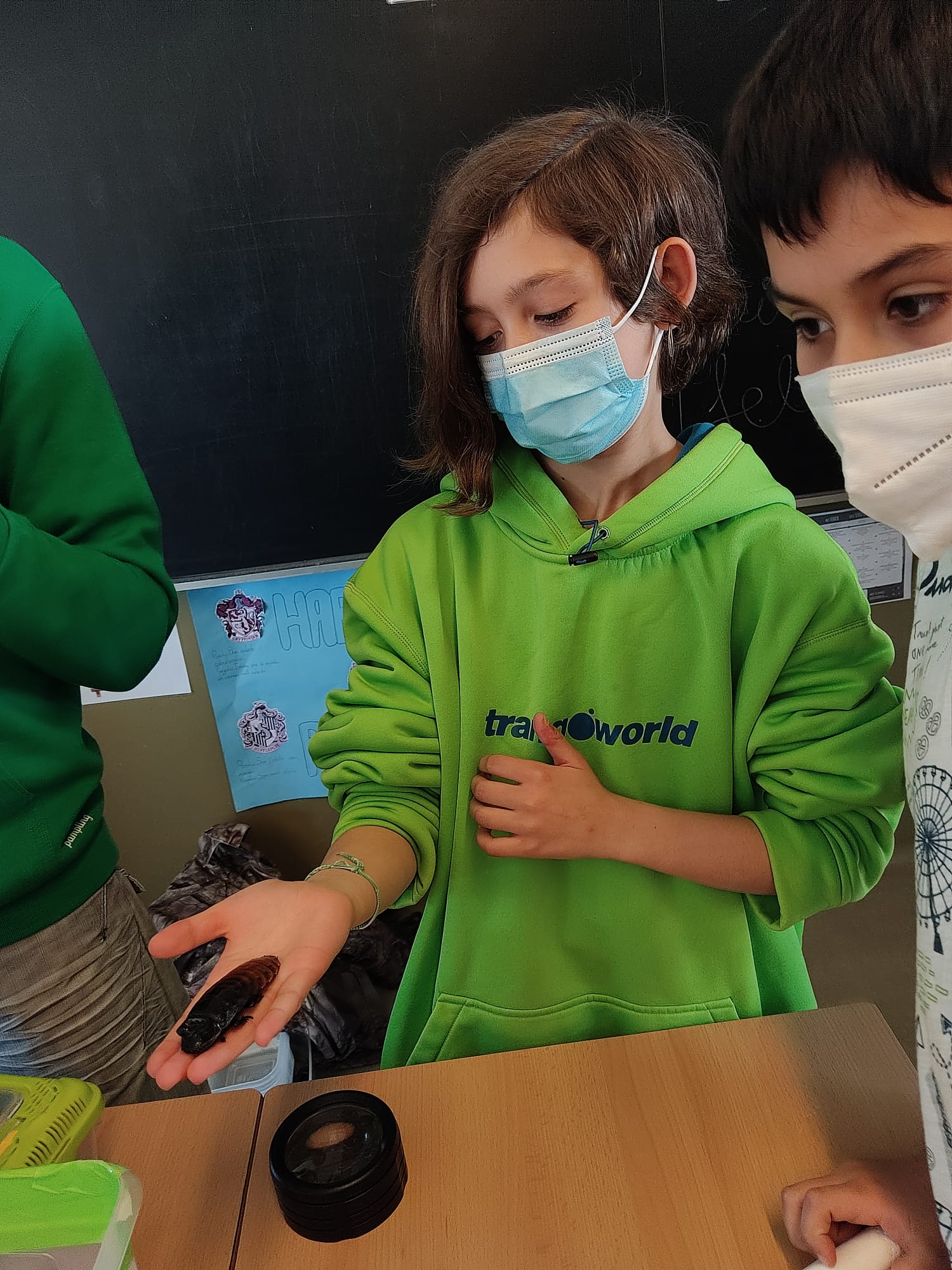 df8b3e66-98de-4c57-b73e-cf84959044e3