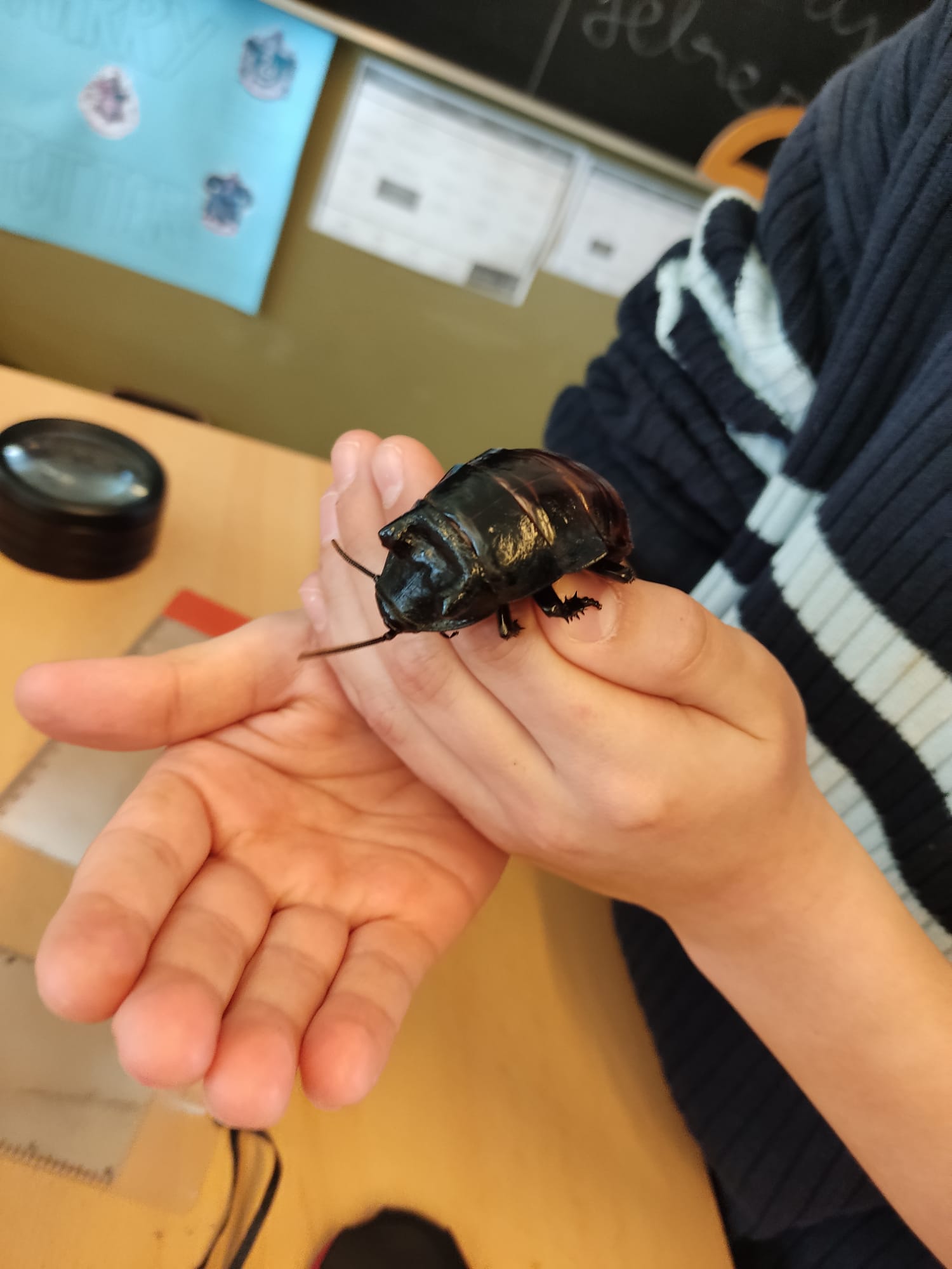 e396da9e-684d-492e-aeac-b0481d35a234