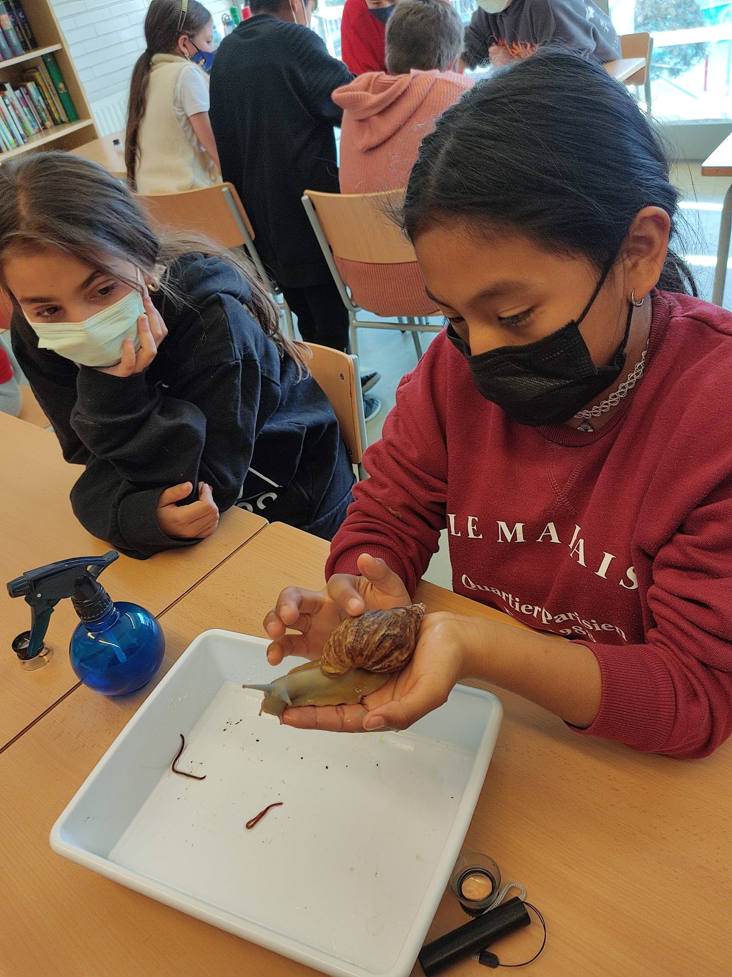 ec100af8-5d5c-496a-9f40-3de0bafd8ddf