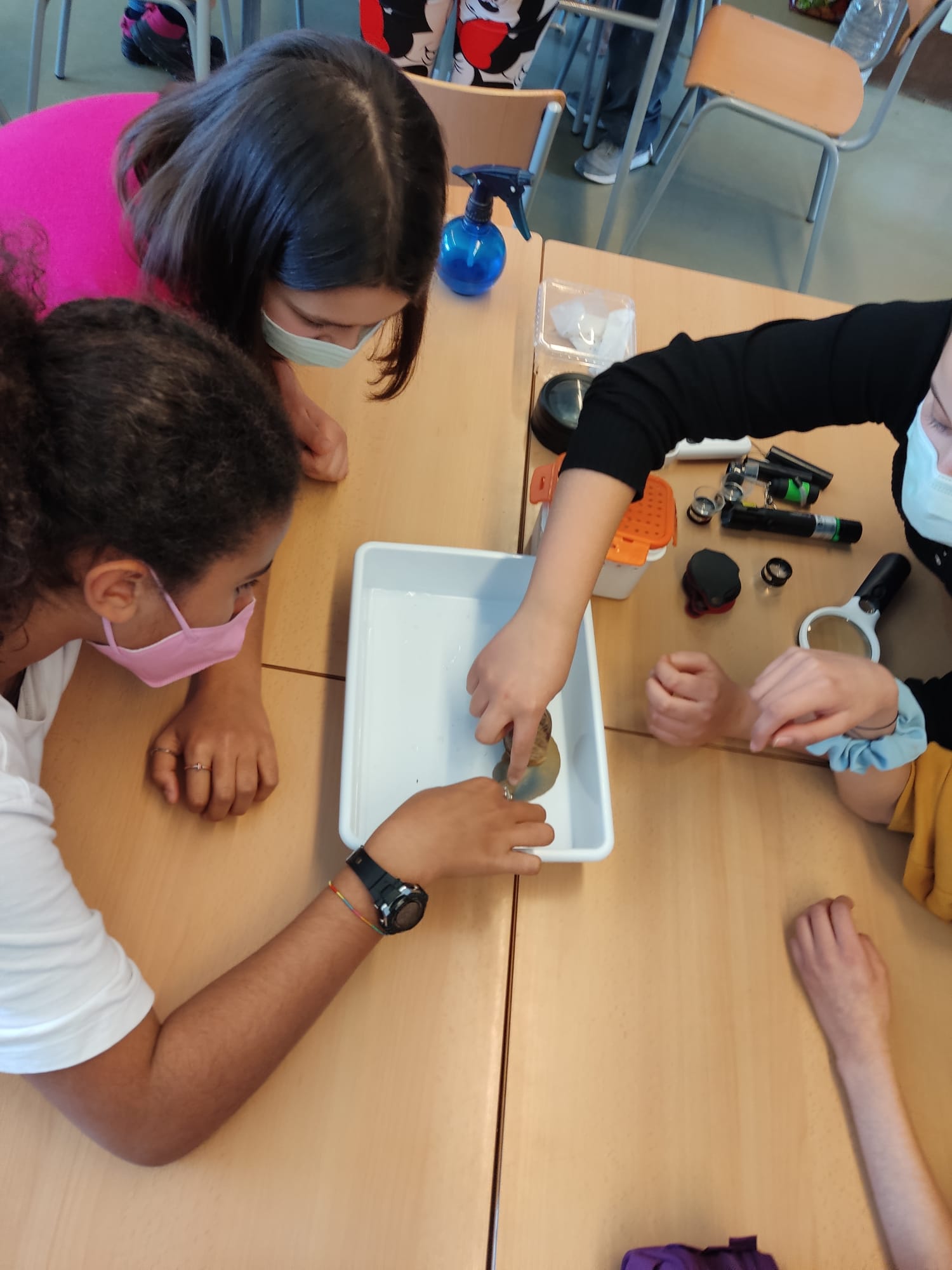 f83f9880-c23b-4faa-a662-a33d5b450e64