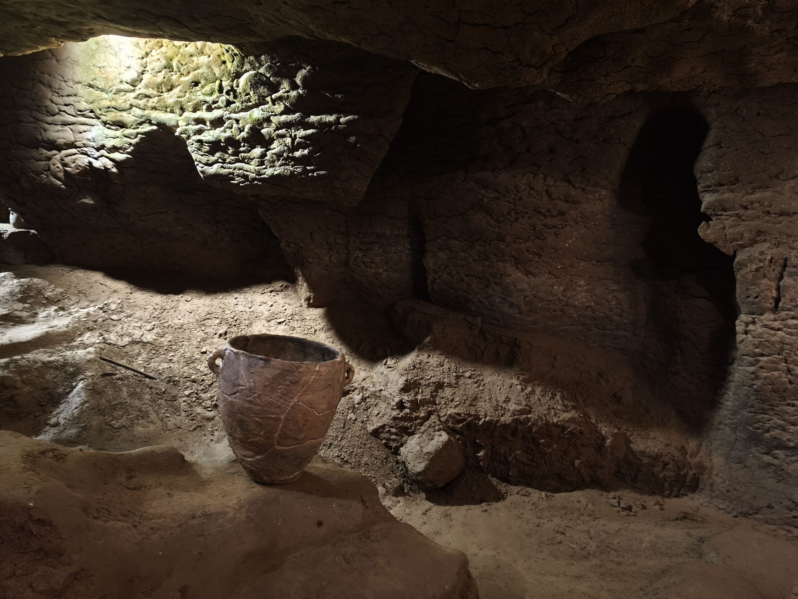 Copia de 1763898018601