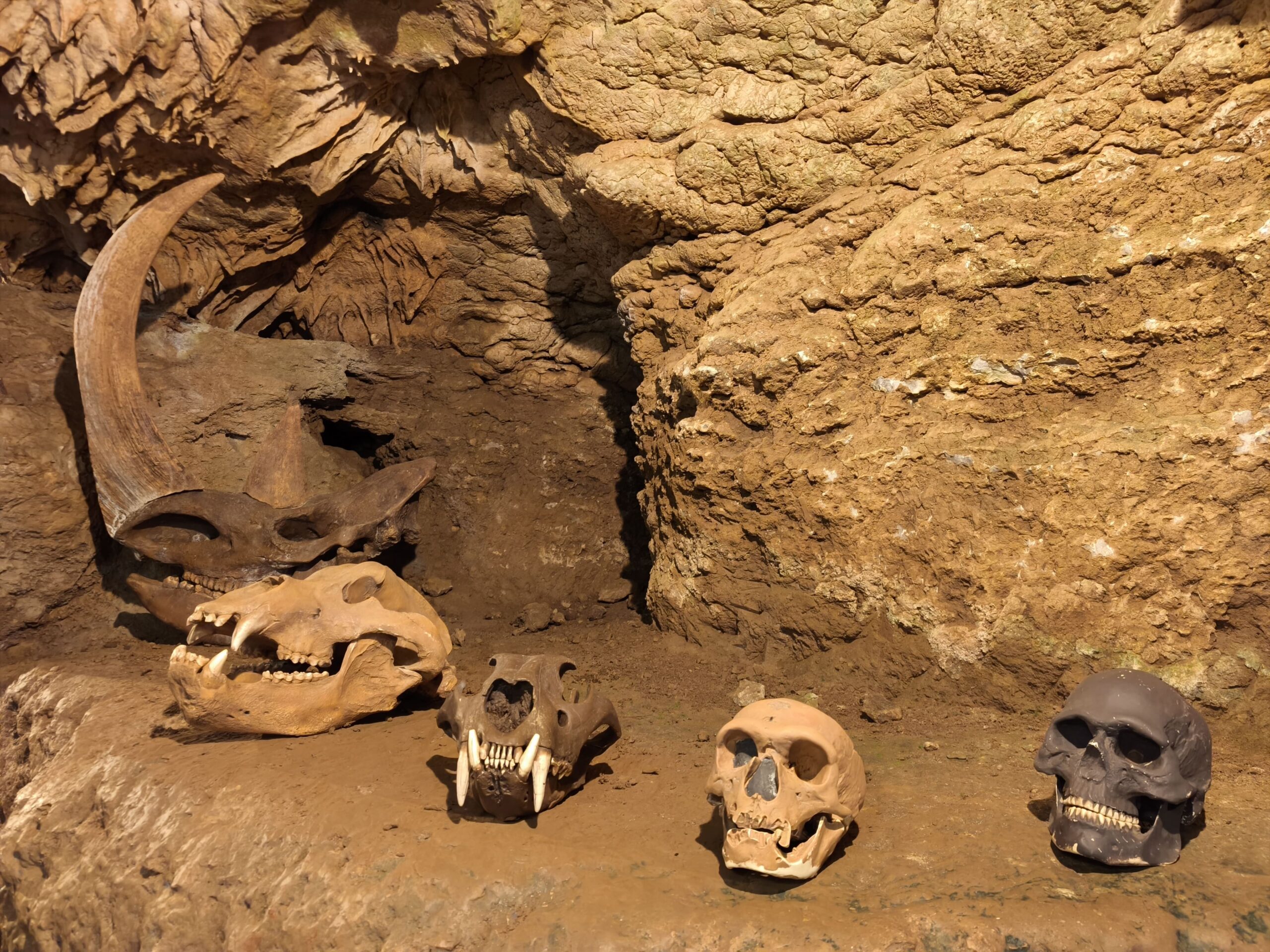 Copia de 1763898018782