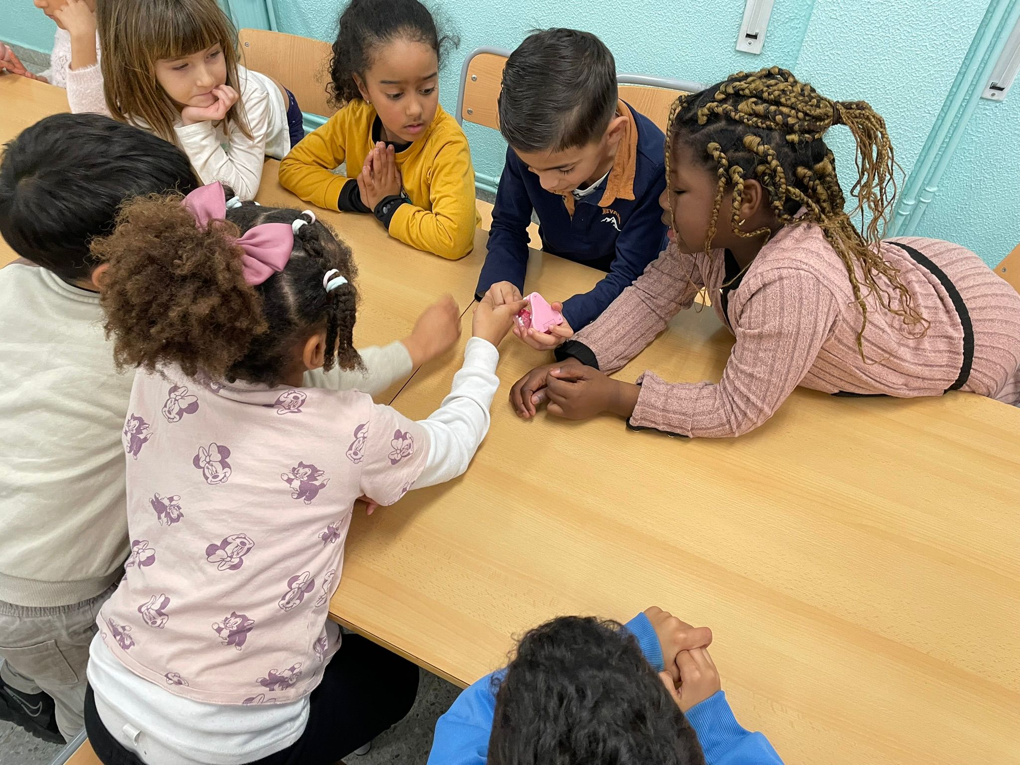 Còpia de WhatsApp Image 2026-01-19 at 12.52.50 (6)