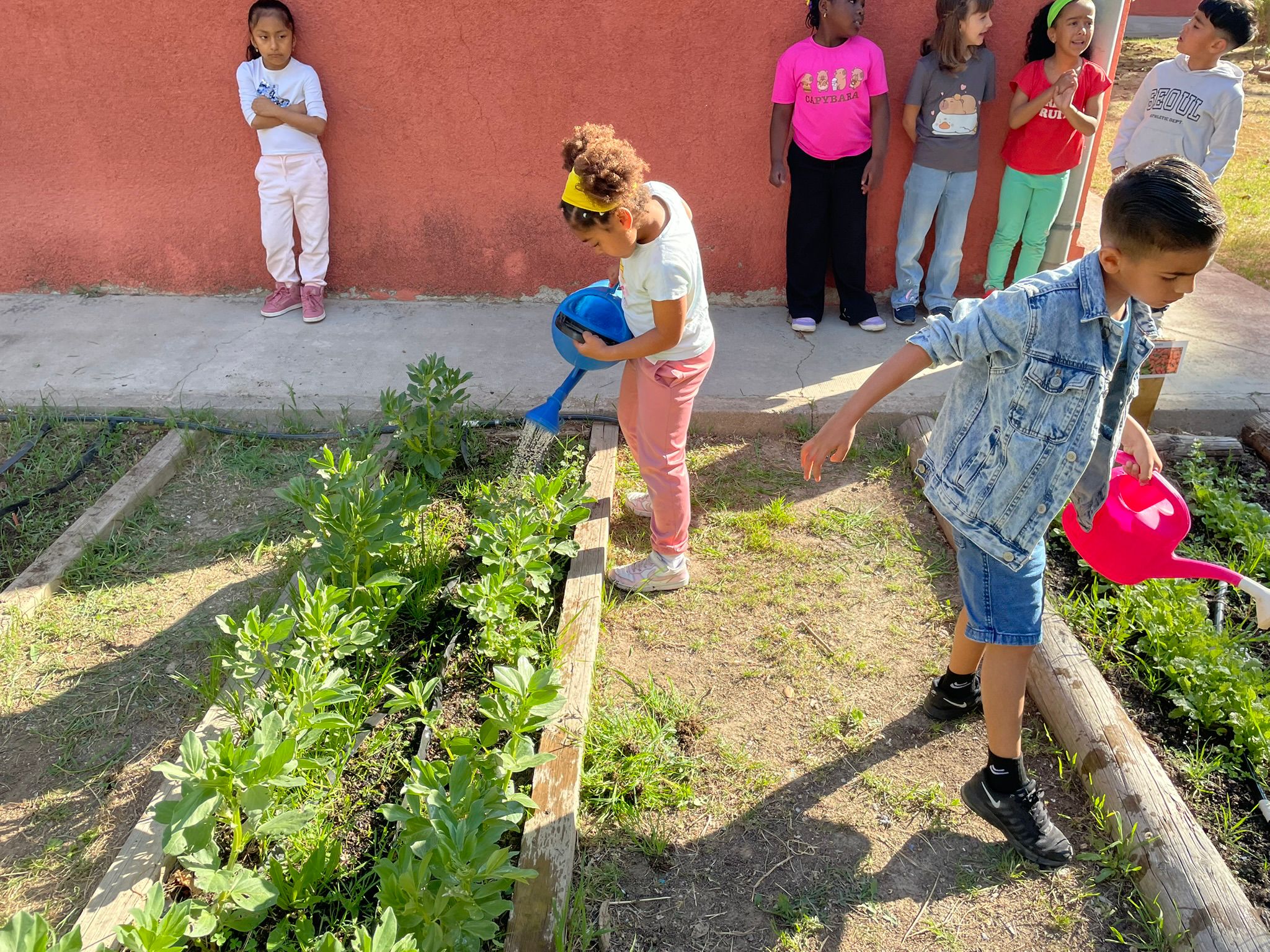 WhatsApp Image 2026-04-22 at 14.56.03 (3)