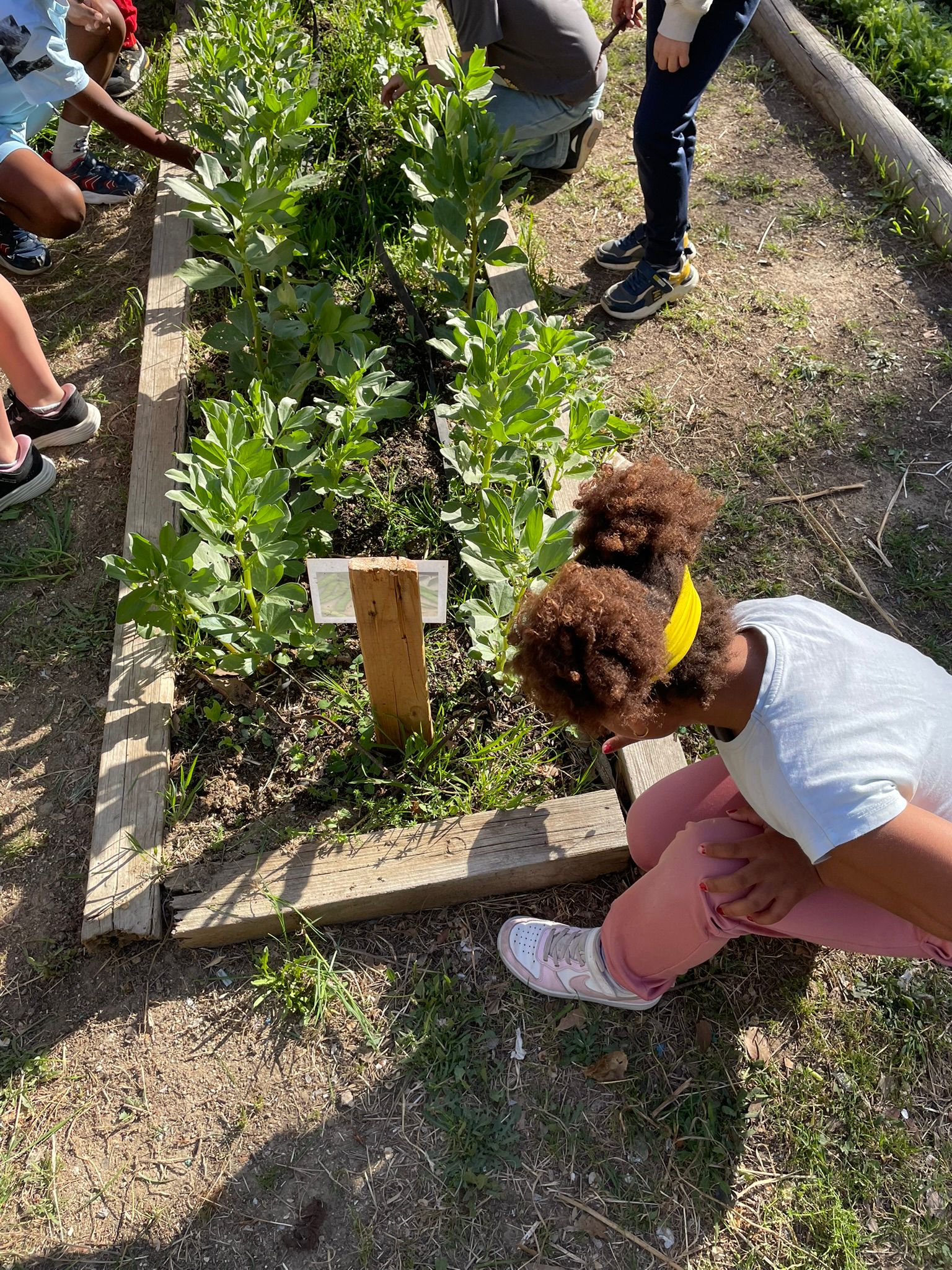 WhatsApp Image 2026-04-22 at 14.56.04 (1)