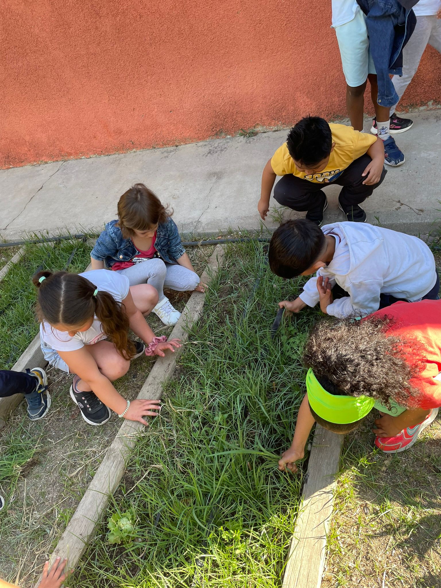 WhatsApp Image 2026-04-22 at 14.56.04 (2)