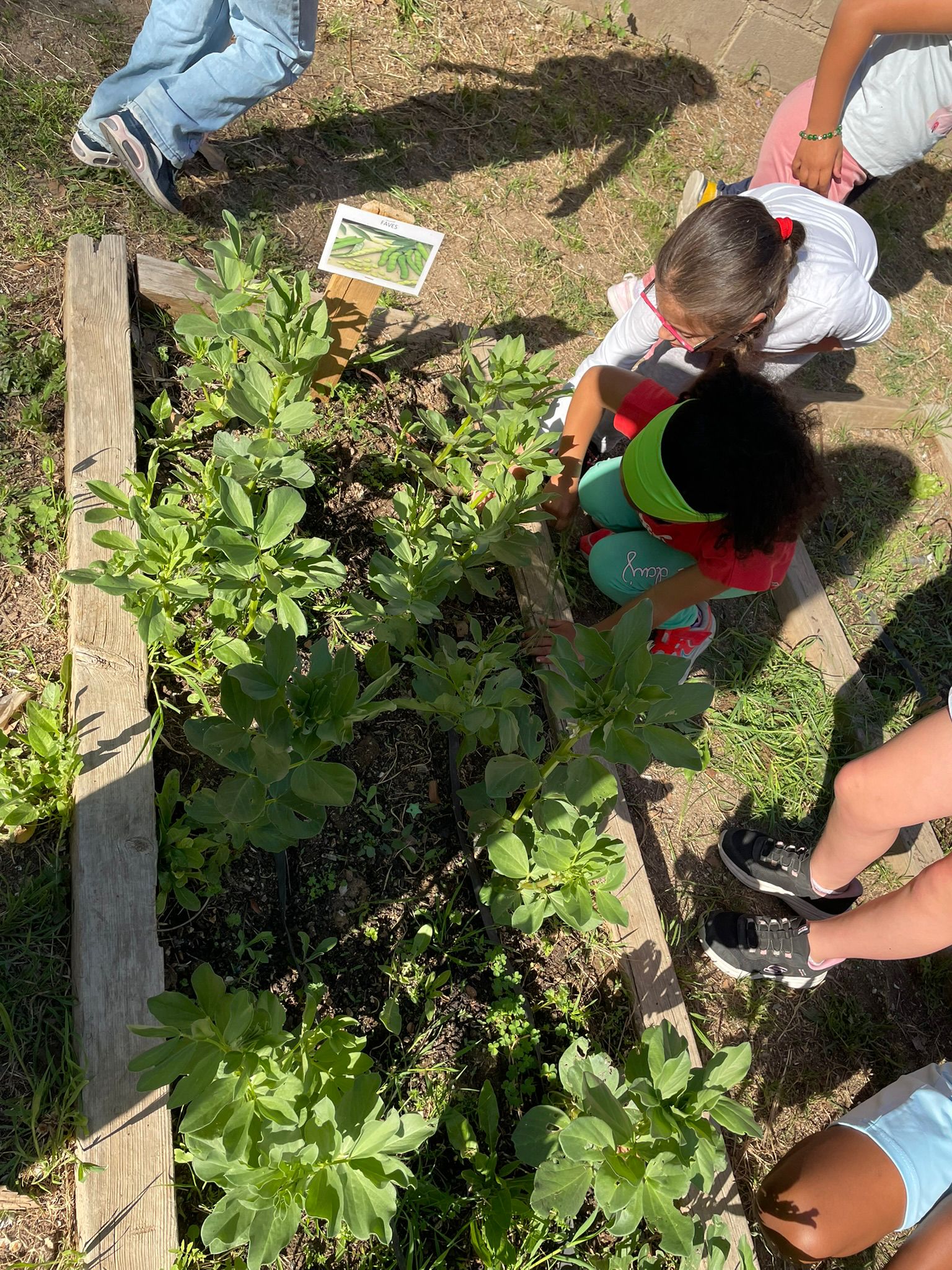 WhatsApp Image 2026-04-22 at 14.56.04 (3)