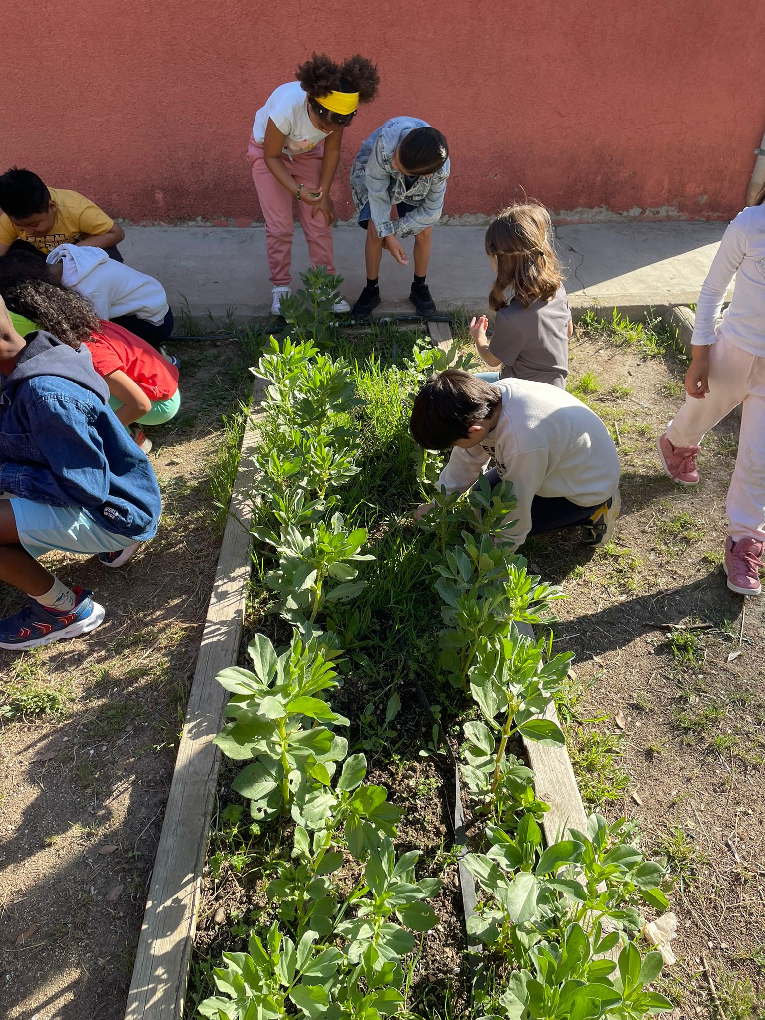 WhatsApp Image 2026-04-22 at 14.56.05 (1)