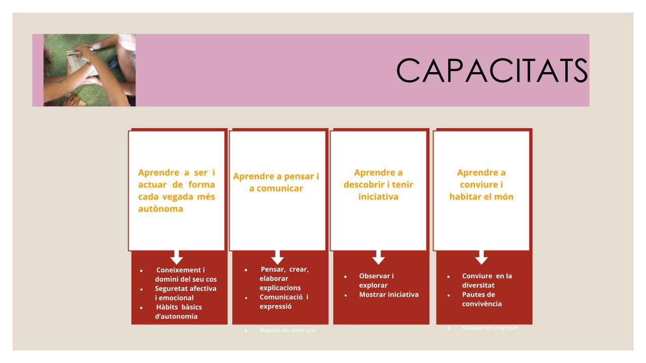 pER LES FAMÍLIES POWER REUNIÓ p5 .pptx (5)
