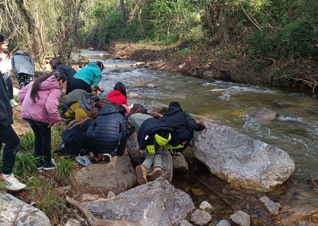 IMG_20250403_115846_Easy-Resize.com (1)