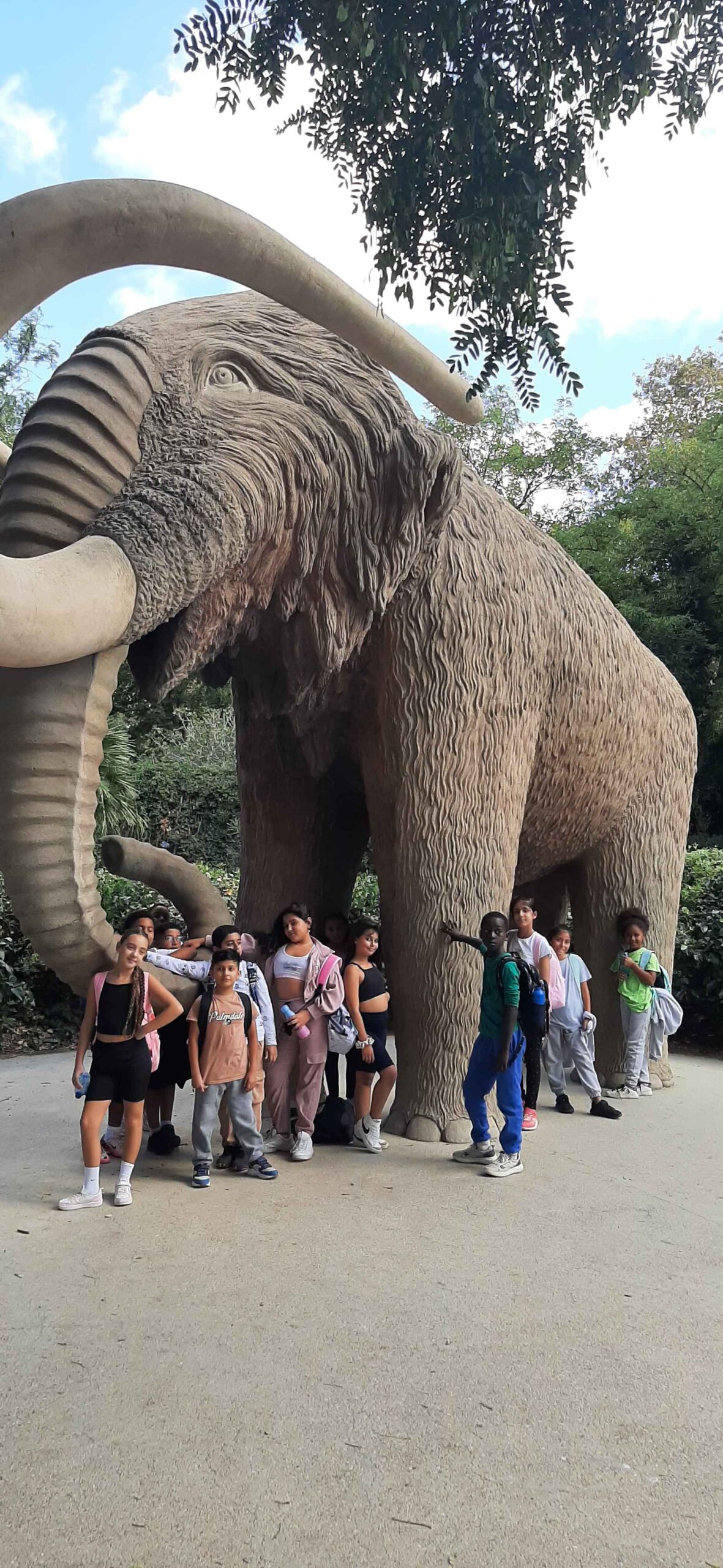 20241004_140607_11zon