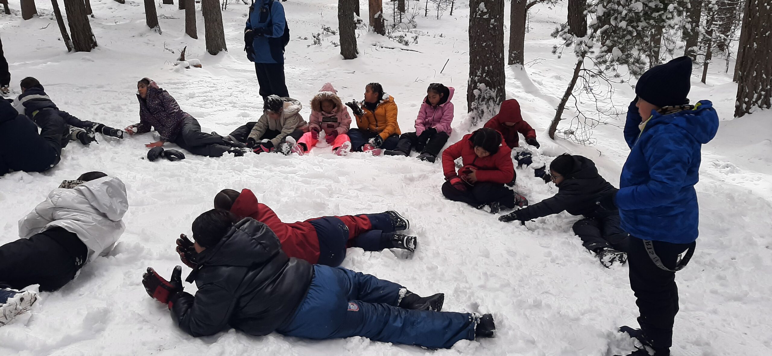 IMG_20250317_185405_675