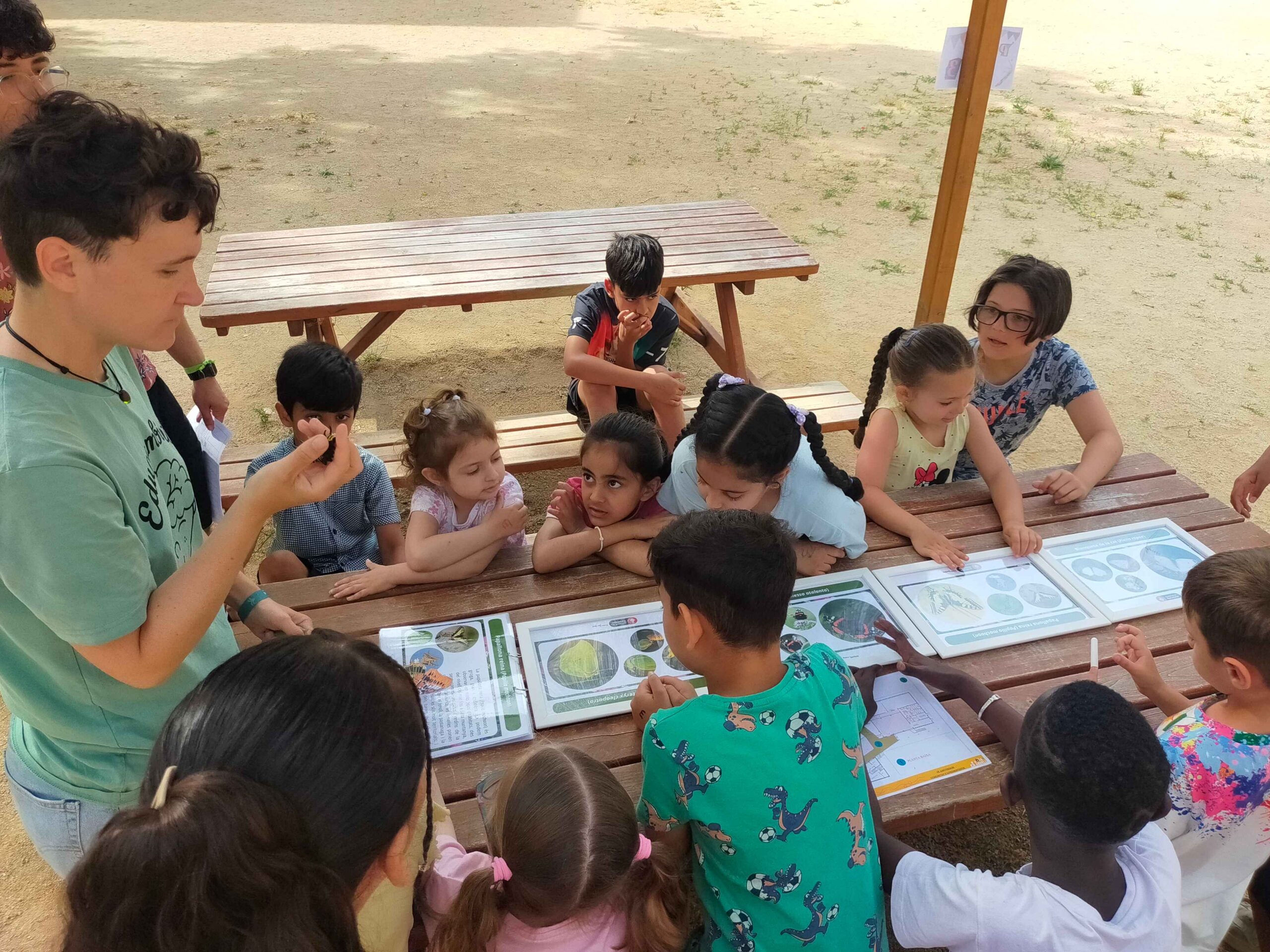 IMG20250603102731_11_11zon