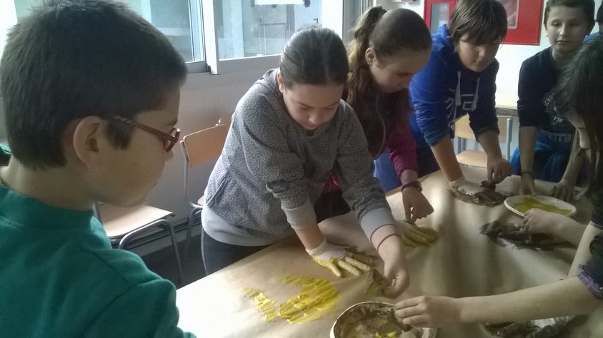 WP_20160219_002 (Copiar)