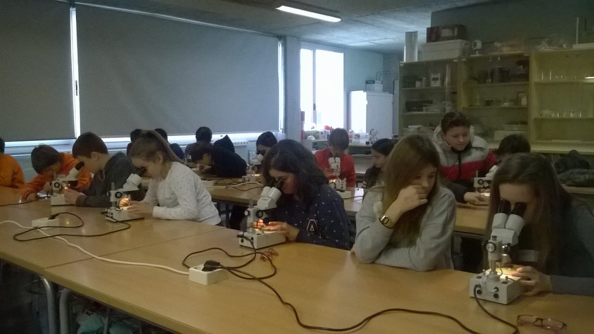 WP_20160219_009 (Copiar)