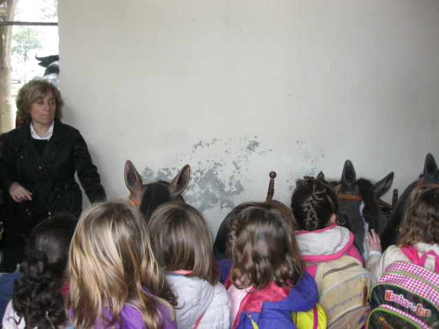 sortida-casa-gegants-36