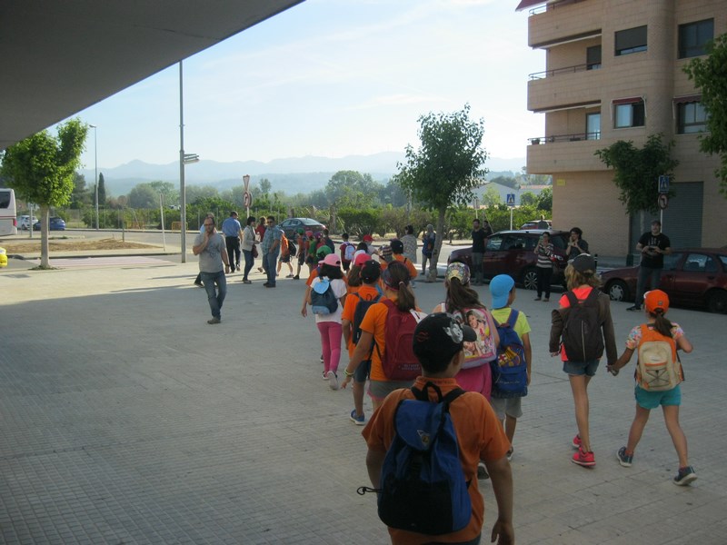 IMG_2399 (Copy) - Còpia