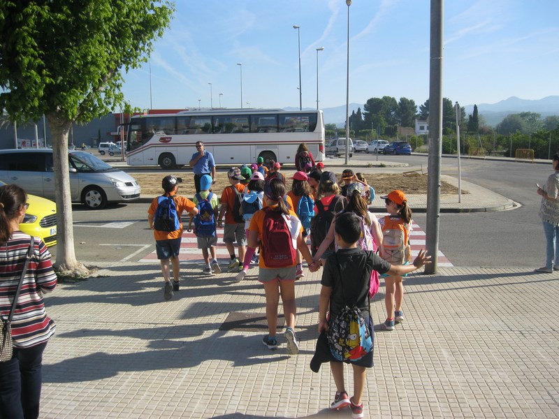 IMG_2400 (Copy) - Còpia