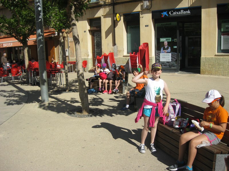 IMG_2403 (Copy) - Còpia