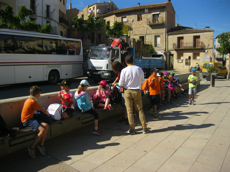 IMG_2404 (Copy) - Còpia