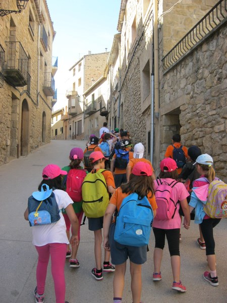 IMG_2405 (Copy) - Còpia