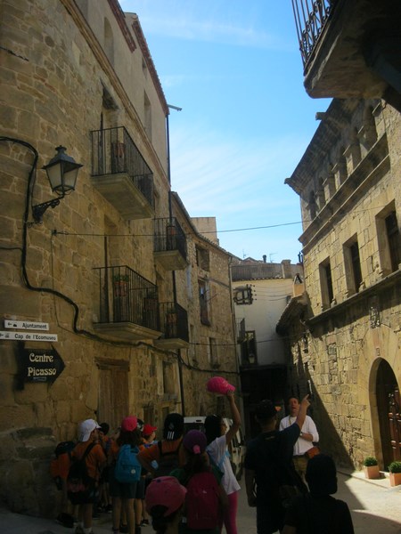 IMG_2408 (Copy) - Còpia