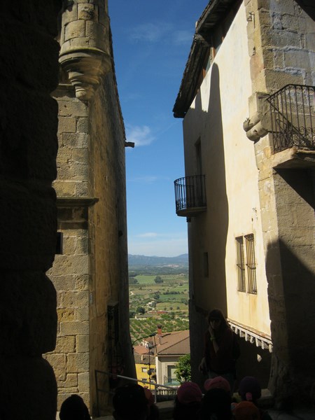 IMG_2411 (Copy) - Còpia