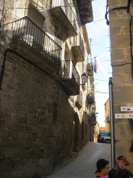 IMG_2413 (Copy) - Còpia