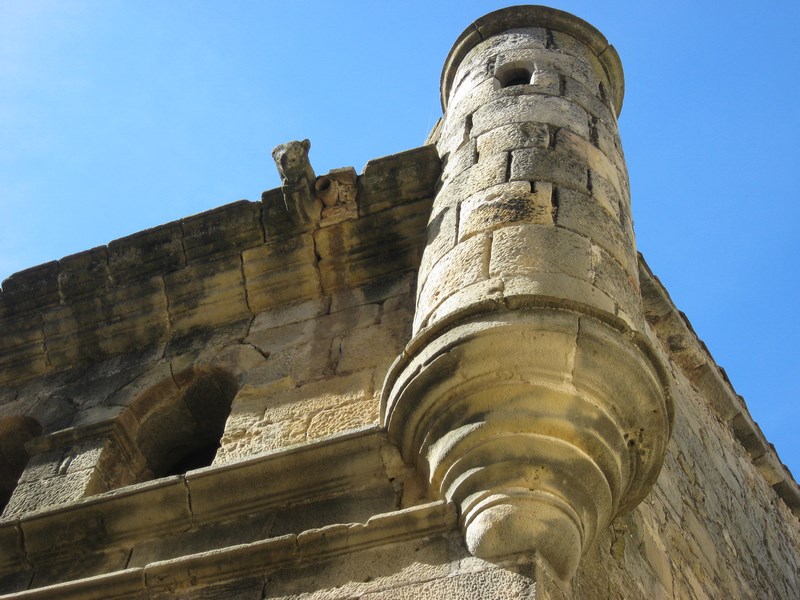 IMG_2414 (Copy) - Còpia