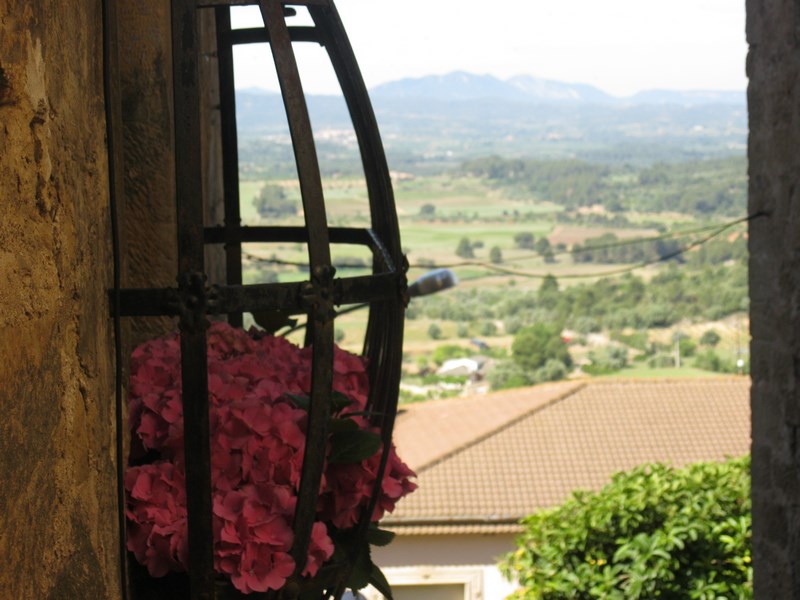 IMG_2415 (Copy) - Còpia