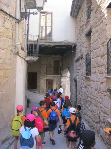 IMG_2418 (Copy) - Còpia