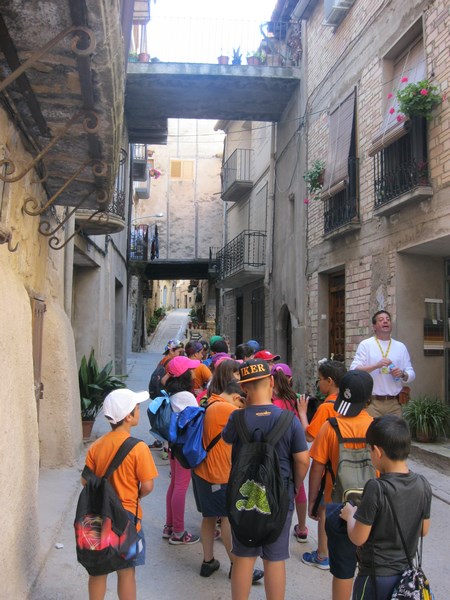 IMG_2420 (Copy) - Còpia