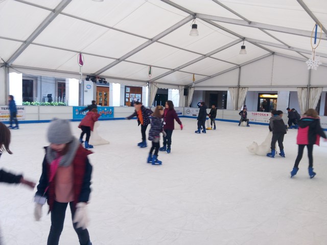 IMG_20171211_101612 (Copy)