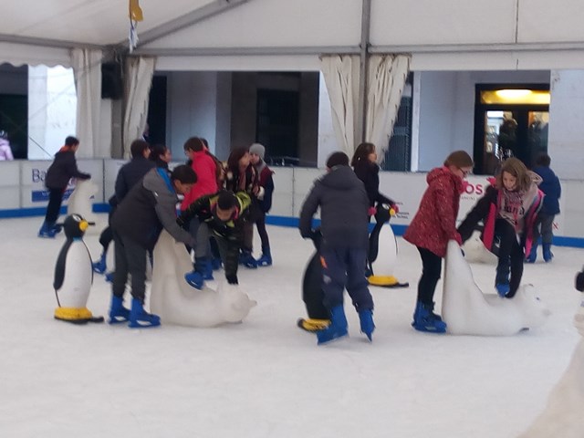 IMG_20171211_101701 (Copy)