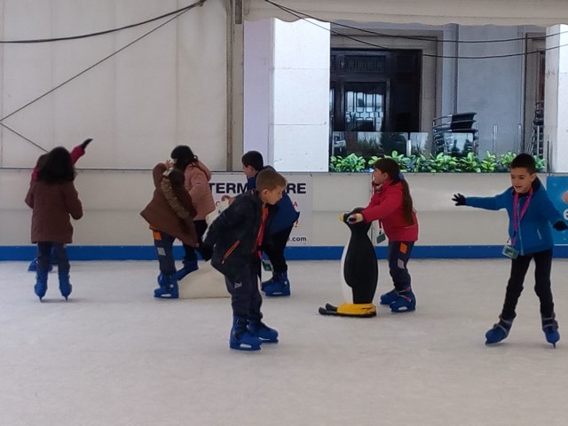 IMG_20171214_112603 (Copy)