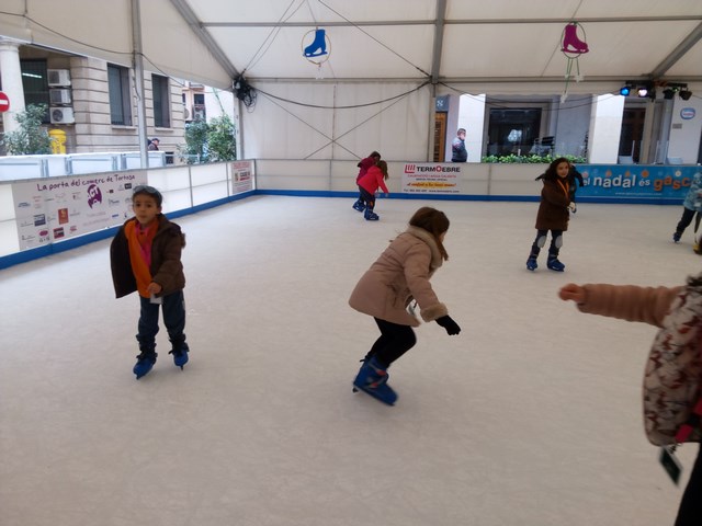 IMG_20171214_112633 (Copy)