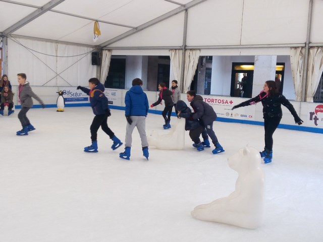 IMG_20171218_102236 (Copy)