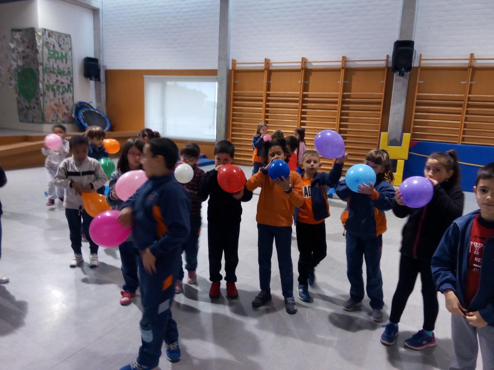 IMG_20180206_102123 (Copy)