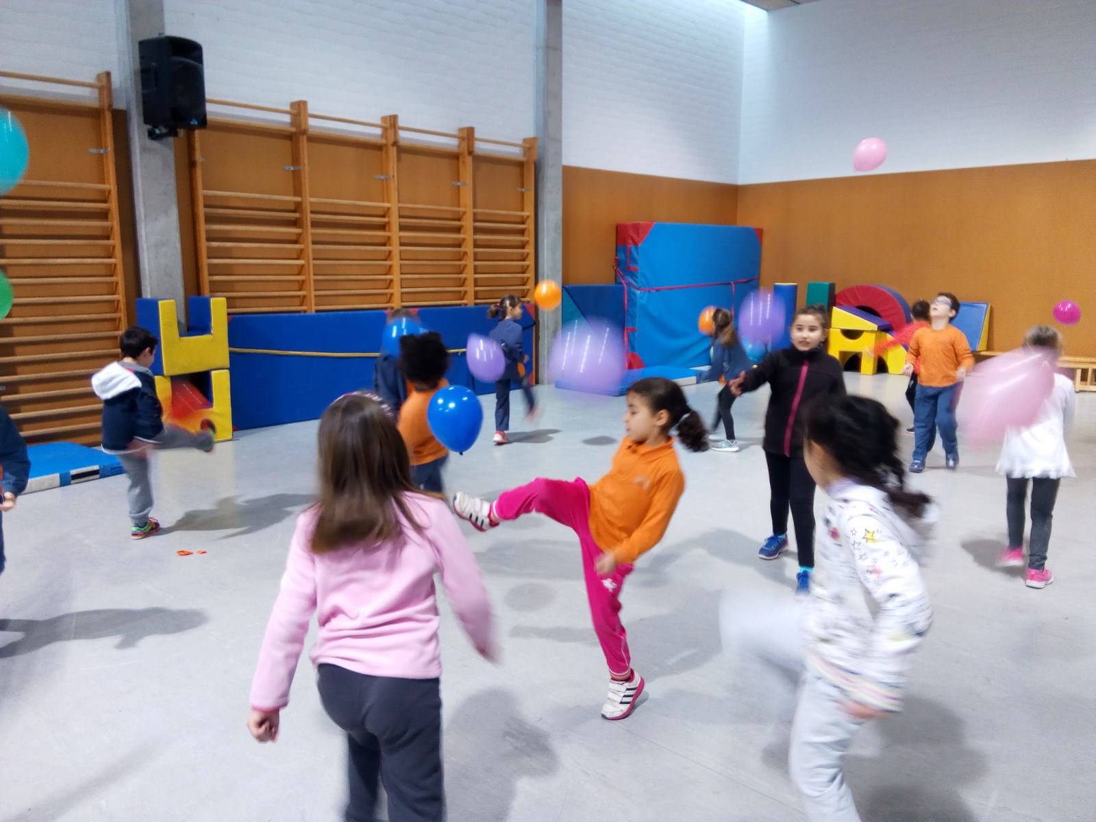 IMG_20180206_102806 (Copy)