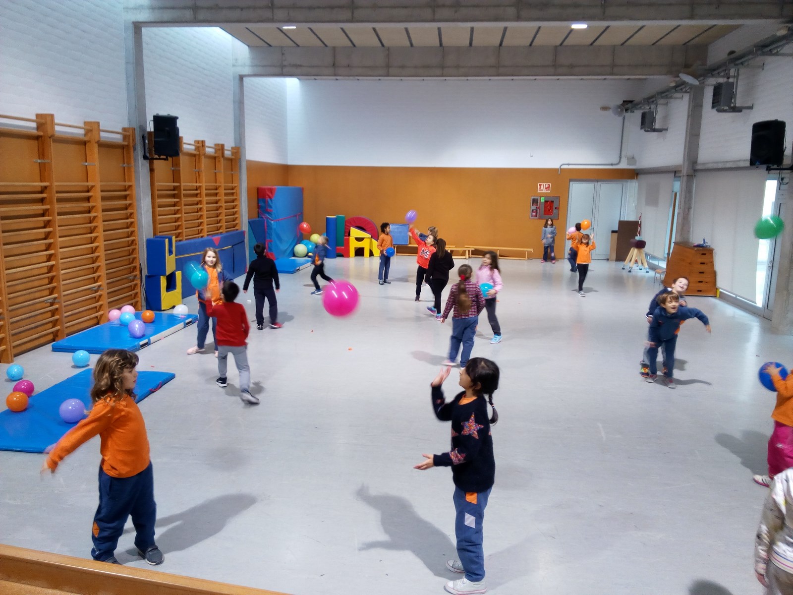 IMG_20180206_104104 (Copy)