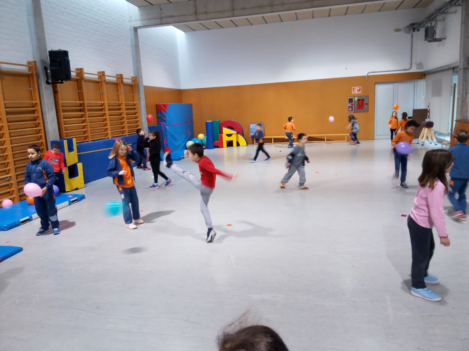 IMG_20180206_104357 (Copy)