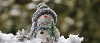 PRIMER DIARI DE CONFINAMENT 2022