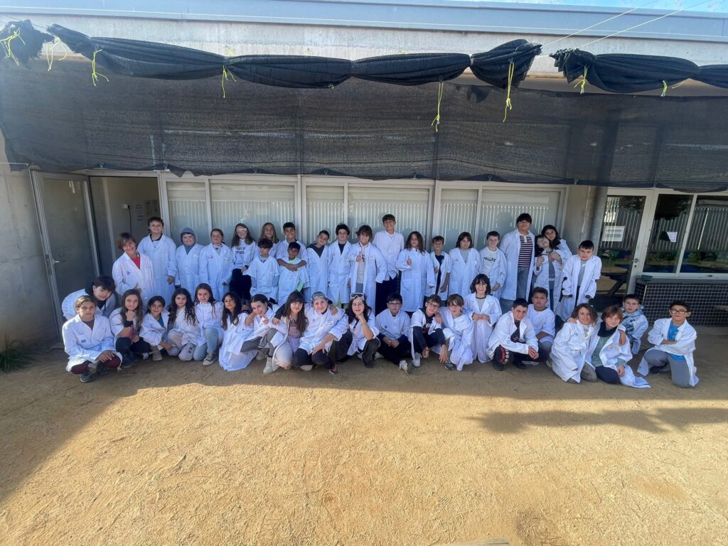 La Setmana de la Ciència és una ocasió magnífica per despertar la curiositat i gaudir de l’aprenentatge. Els experiments permeten veure la ciència en acció i entendre conceptes que, sobre el paper, poden semblar abstractes. Fins i tot la física quàntica, amb la seva aparent complexitat, esdevé més propera quan es presenta de manera divertida i visual. Una experiència que convida a fer-se preguntes, explorar i descobrir el fascinant món científic.