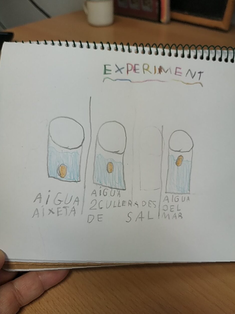 PROJECTE AIGUA 1R A (1)