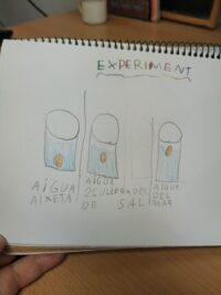 PROJECTE AIGUA 1R A (1)