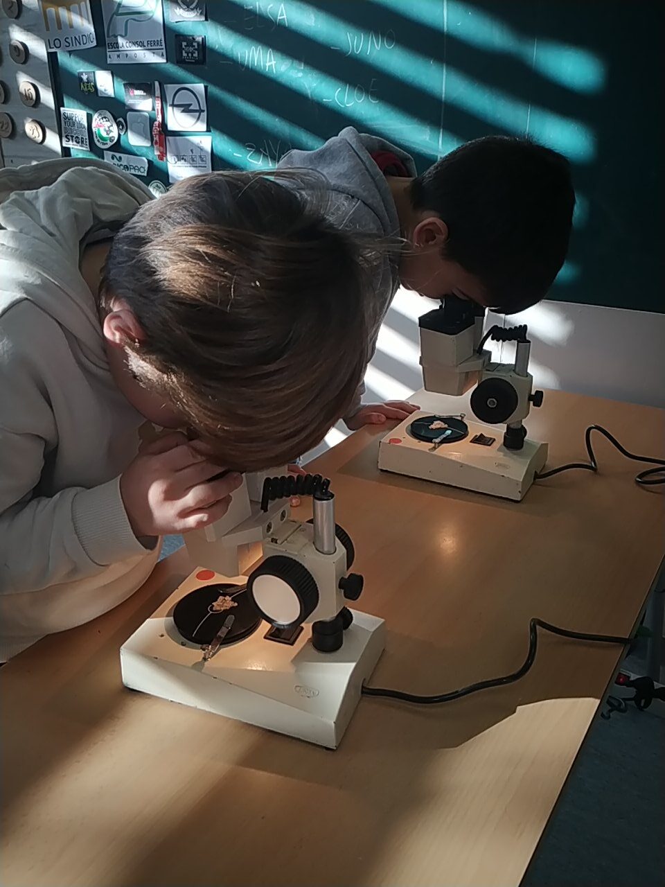 PROJECTE AIGUA 1R A (3)