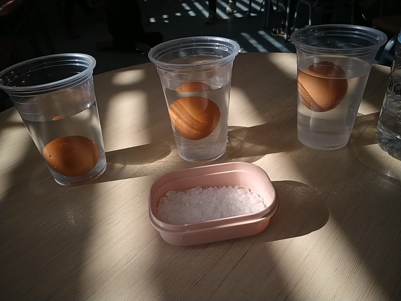 PROJECTE AIGUA 1R A (8)