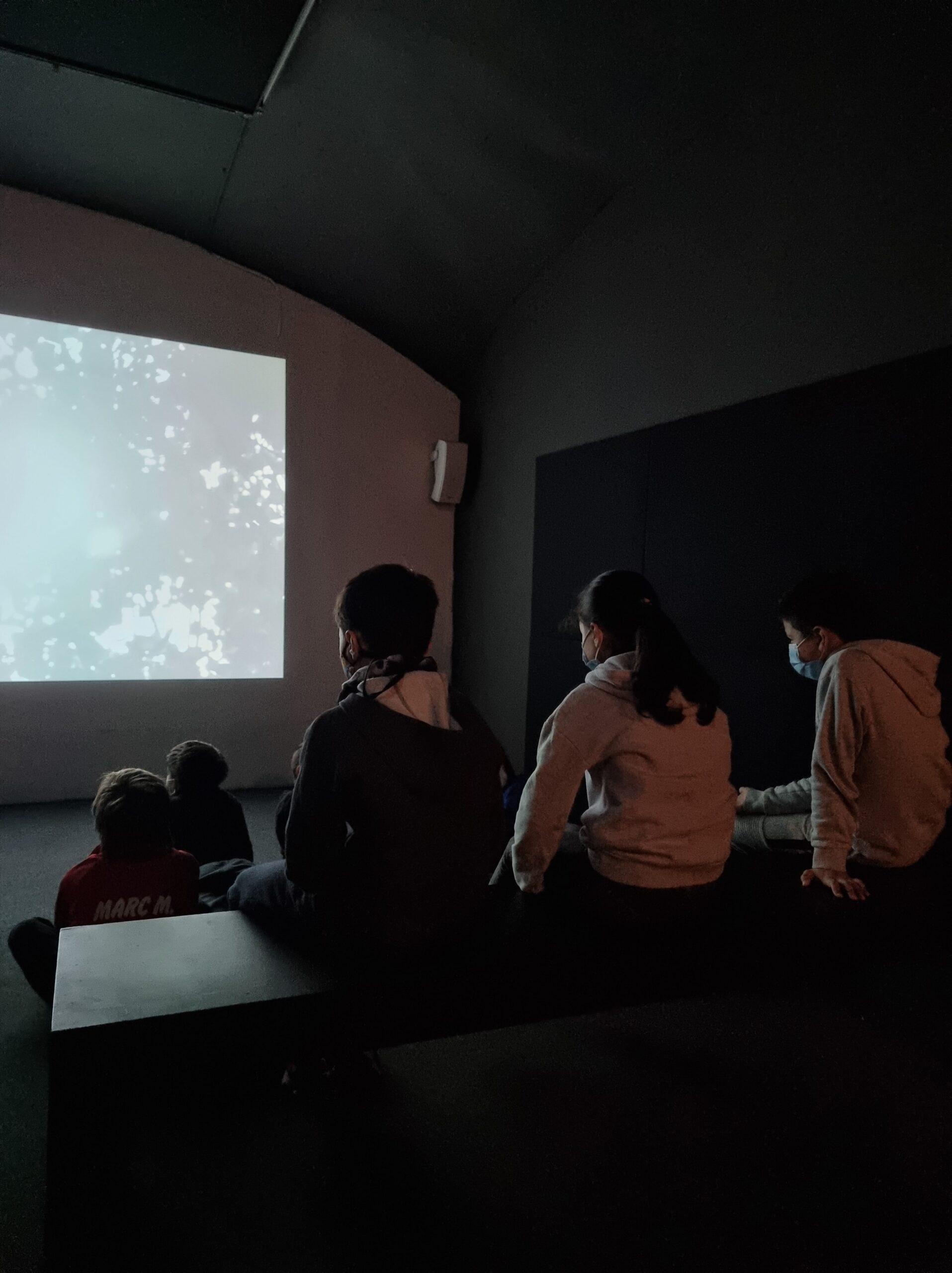 Copia de 20211125_115002-min